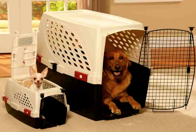 jaulas-para-perros-1