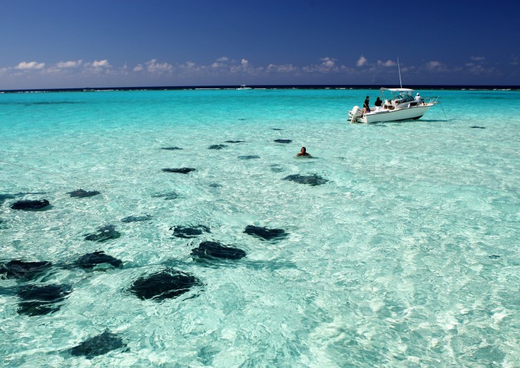 Stingray City Sandbar - Photo Credit - Mark Narsanski (1)