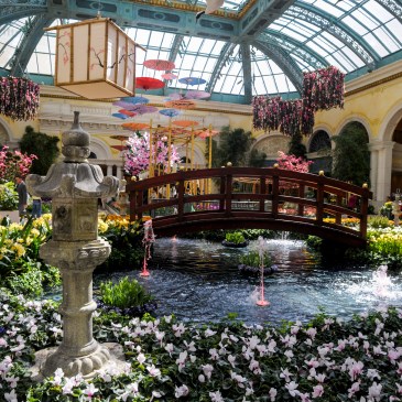 El jardín del Bellagio será sede de la exposición Dolce Vita (Crédito Las Vegas News Bureau).