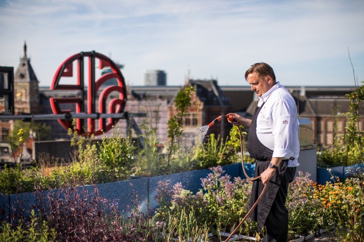 Chris Naylor_Vegetable Gardennh